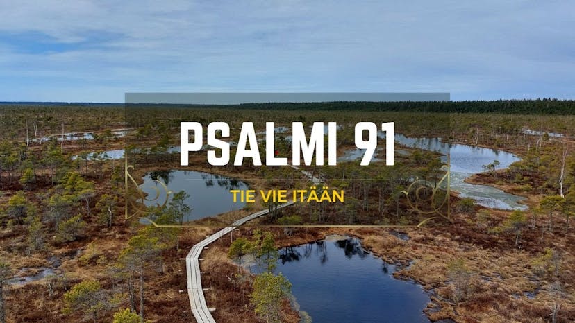 Cover Image for Psalmi 91